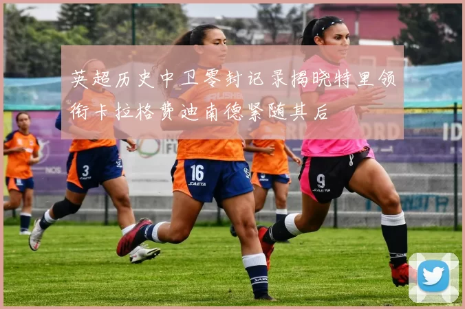 英超历史中卫零封记录揭晓特里领衔卡拉格费迪南德紧随其后