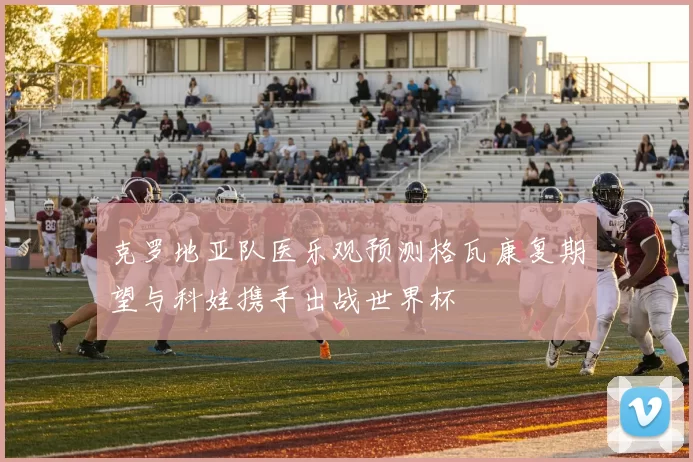克罗地亚队医乐观预测格瓦康复期望与科娃携手出战世界杯