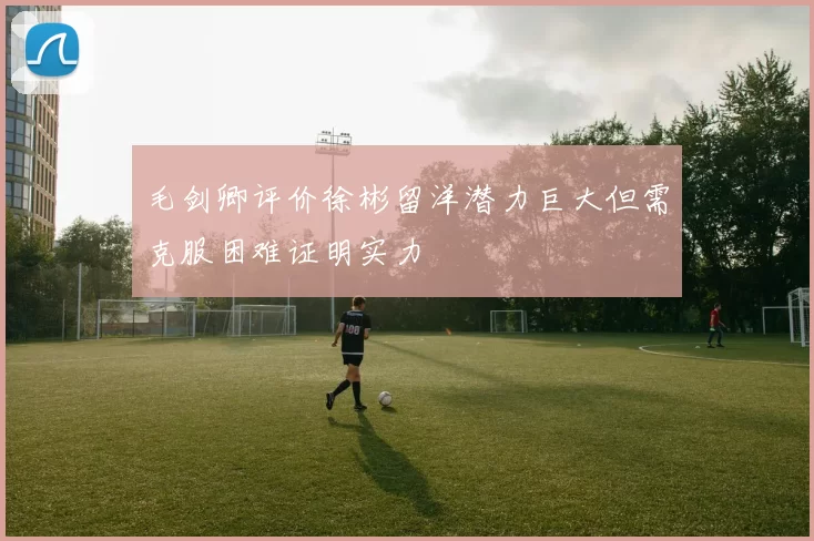 毛剑卿评价徐彬留洋潜力巨大但需克服困难证明实力